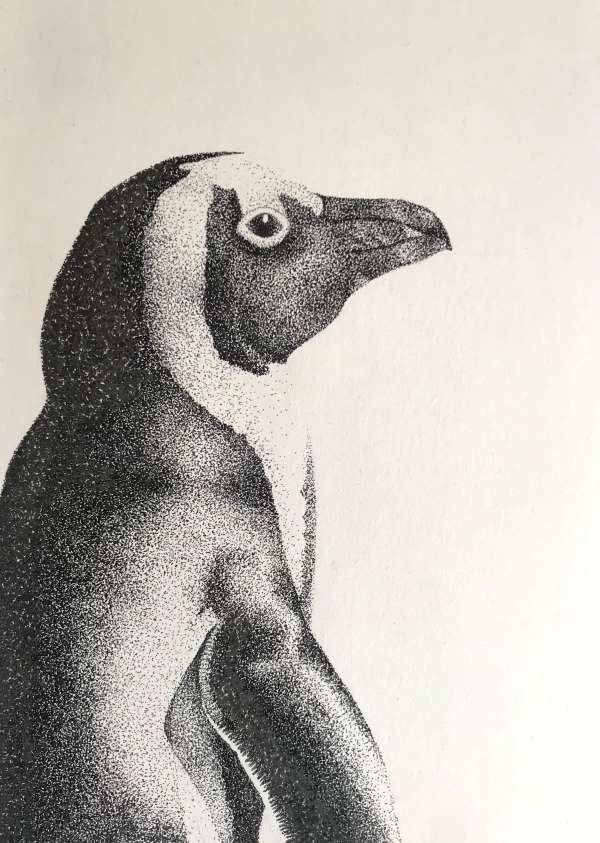 ink_penguin